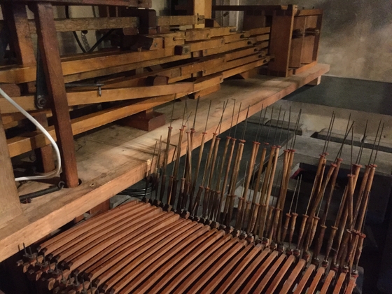 Organ Restoration